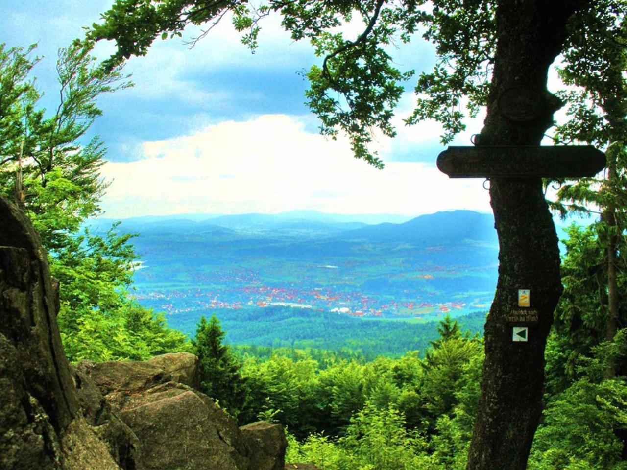 Ferienwohnungen Waldblick Waldmünchen Exterior foto